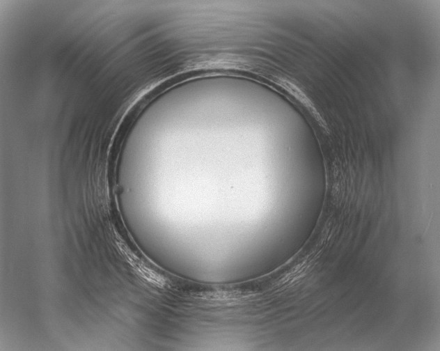 X0000060780980200512011634