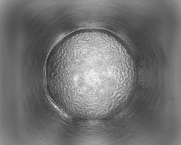 X0000060780982200512011634