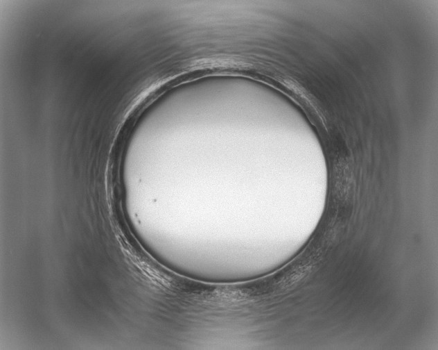 X0000060780983200512011634
