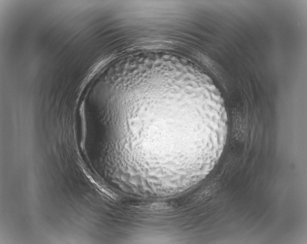 X0000060780986200512011634
