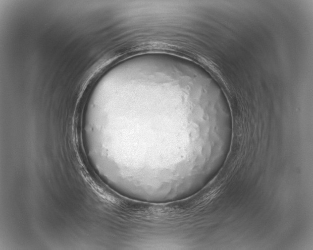 X0000060780987200512011634