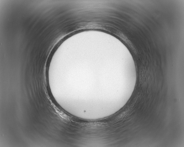 X0000060780988200512011634
