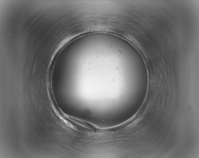 X0000060780989200512011634