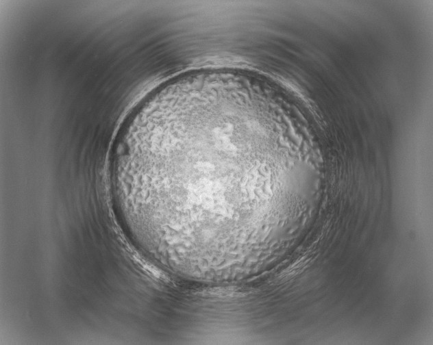 X0000060780990200512011634