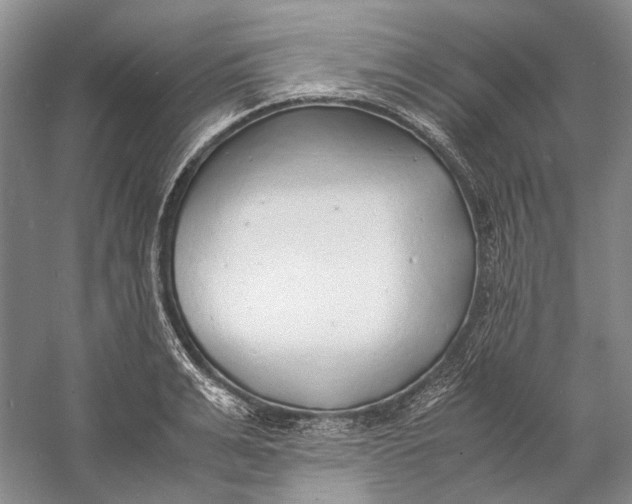 X0000060780991200512011634