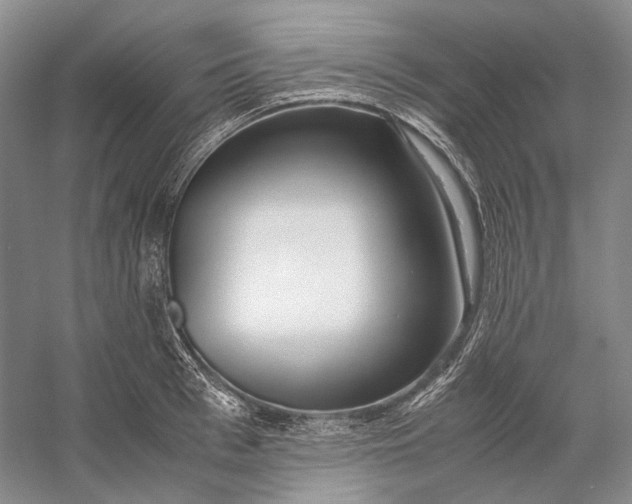 X0000060780993200512011634