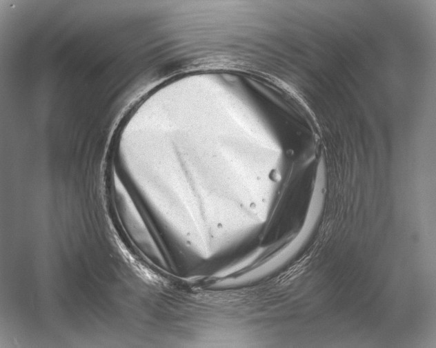 X0000060780995200512011634