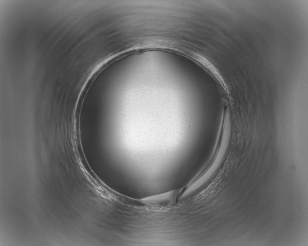 X0000060780996200512011634