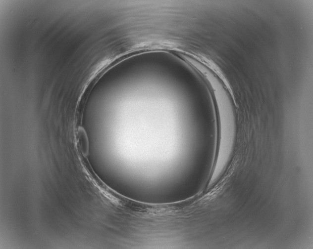 X0000060780997200512011634