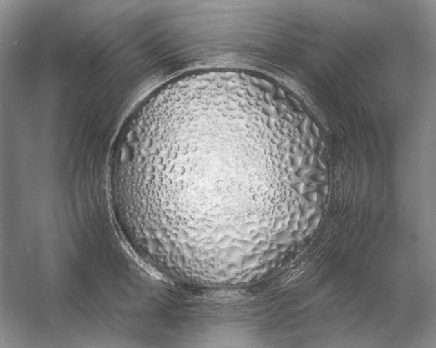 X0000060780998200512011634