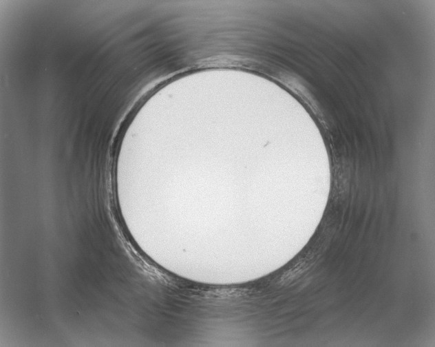X0000060781000200512011634