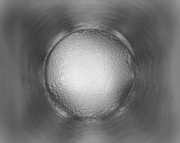 X0000060781002200512011634