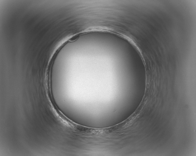 X0000060781003200512011634