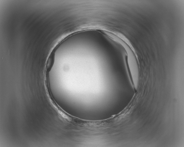 X0000060781005200512011633