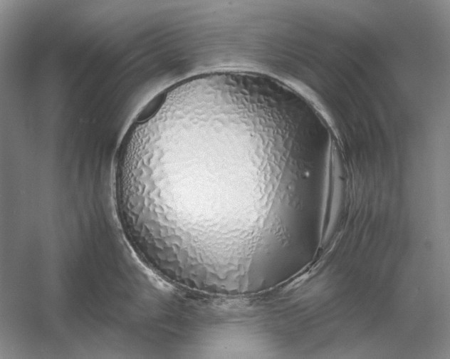 X0000060781006200512011633
