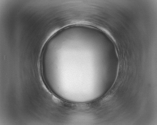X0000060781007200512011633