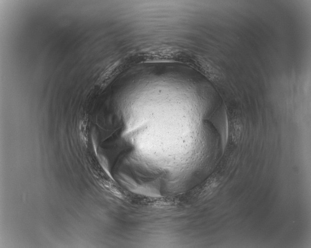X0000060781010200512011633