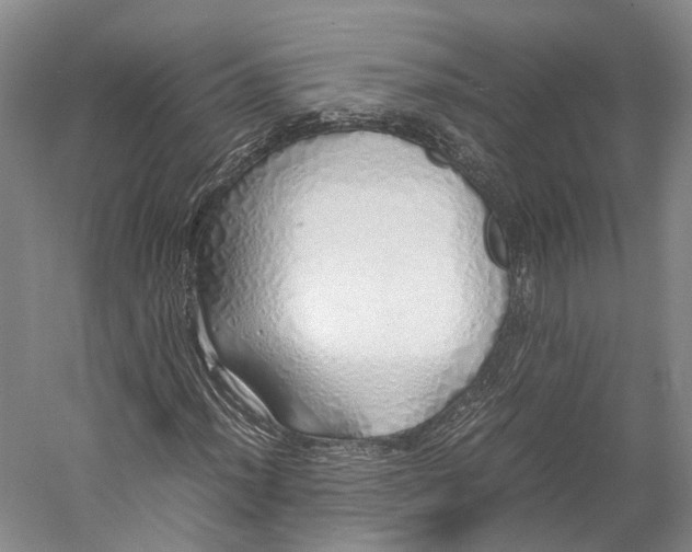 X0000060781012200512011633
