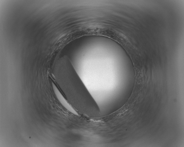 X0000060781013200512011633