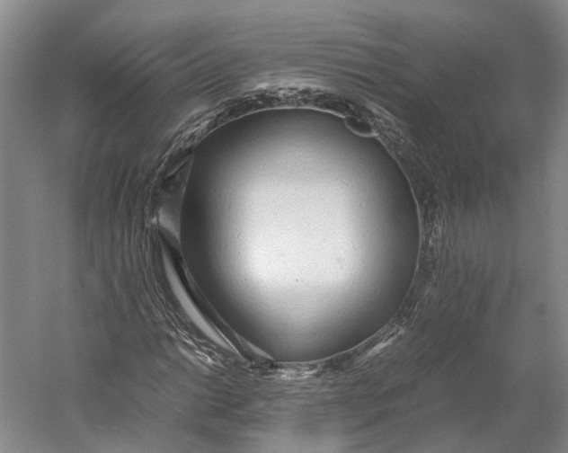 X0000060781014200512011633