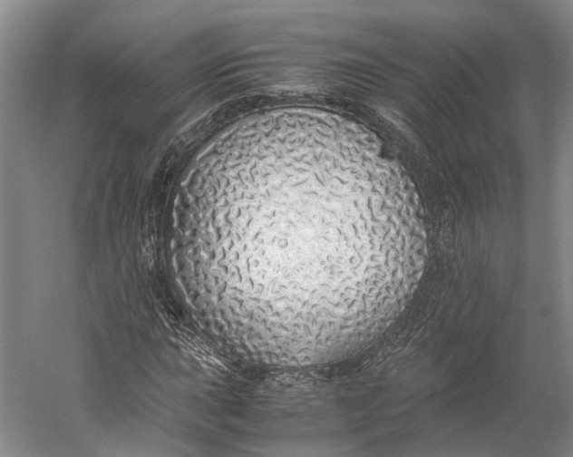 X0000060781015200512011633