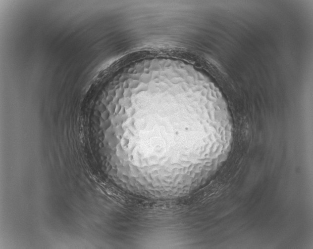 X0000060781016200512011633