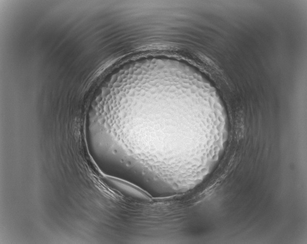 X0000060781017200512011633