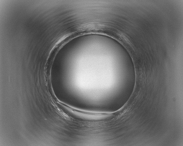 X0000060781018200512011633