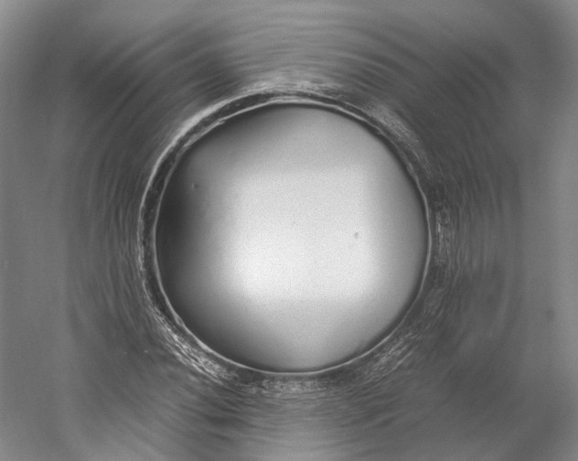 X0000060781020200512011633