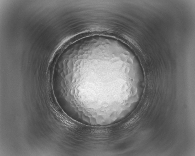 X0000060781021200512011633