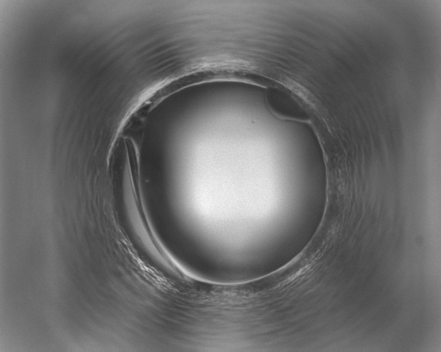 X0000060781022200512011633