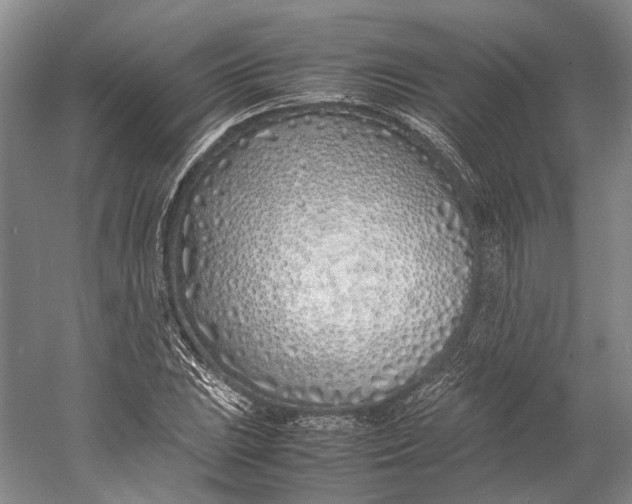 X0000060781023200512011633