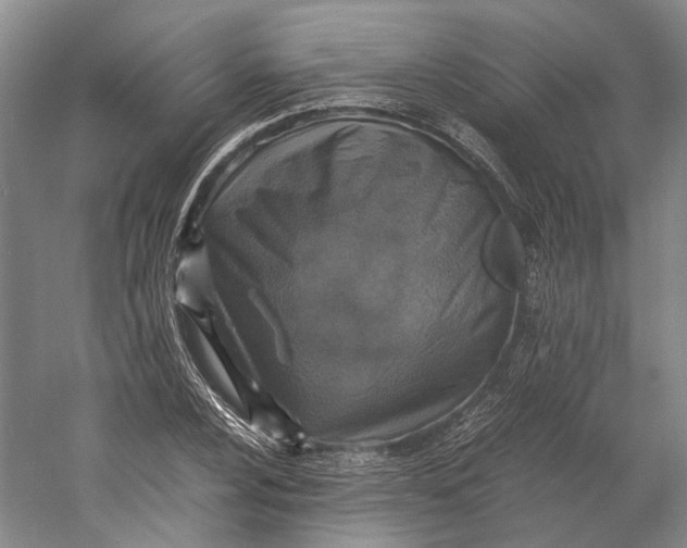 X0000060781024200512011633