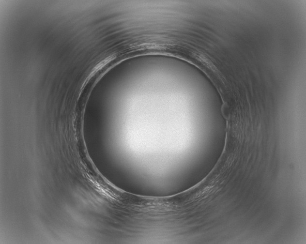 X0000060781026200512011633