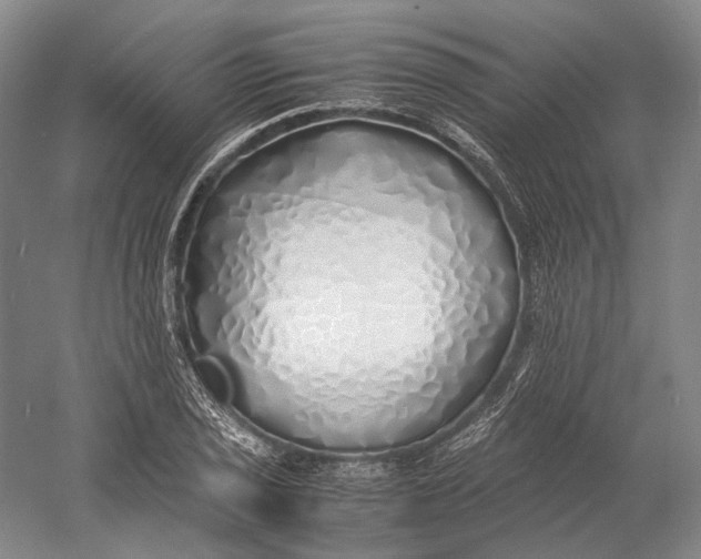 X0000060781029200512011633