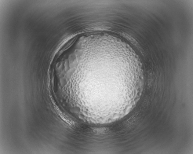 X0000060781031200512011633