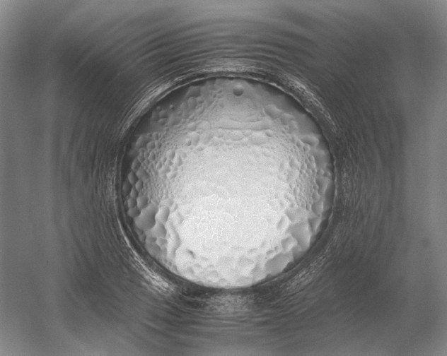X0000060781033200512011633