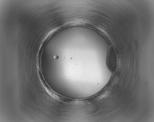 X0000060781034200512011633
