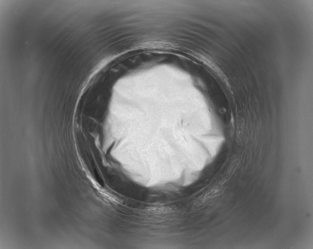 X0000060781037200512011633