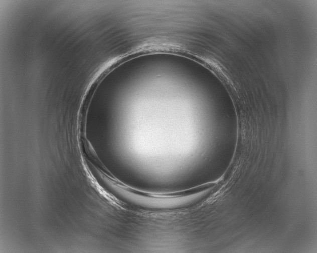 X0000060781038200512011633