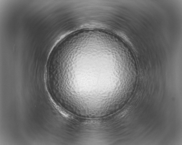 X0000060781040200512011633