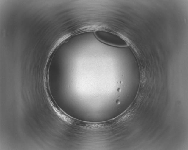 X0000060781042200512011633
