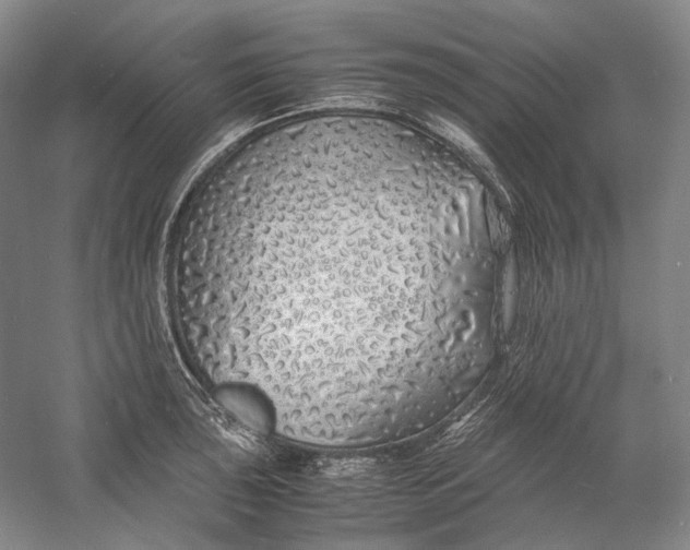 X0000060781043200512011633