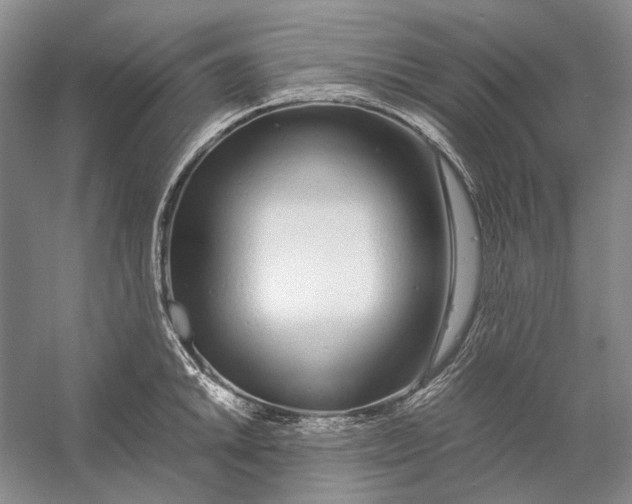 X0000060781046200512011633