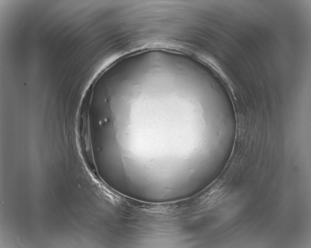 X0000060781048200512011633