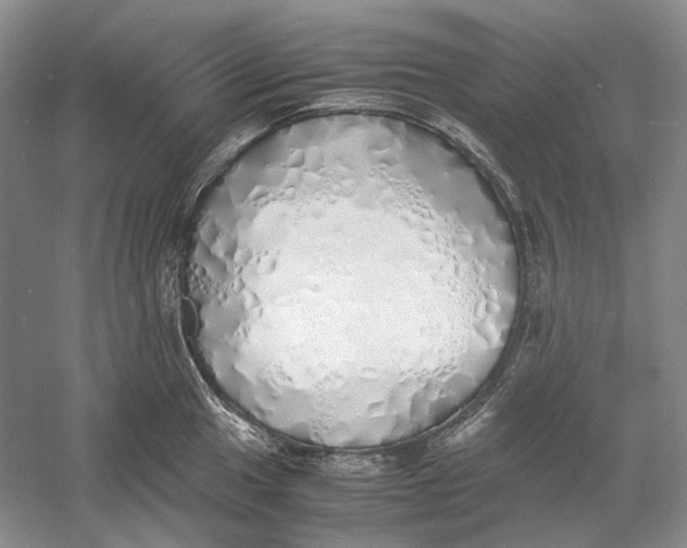 X0000060781049200512011633