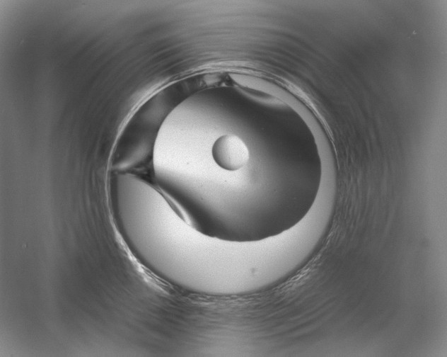 X0000060781050200512011633