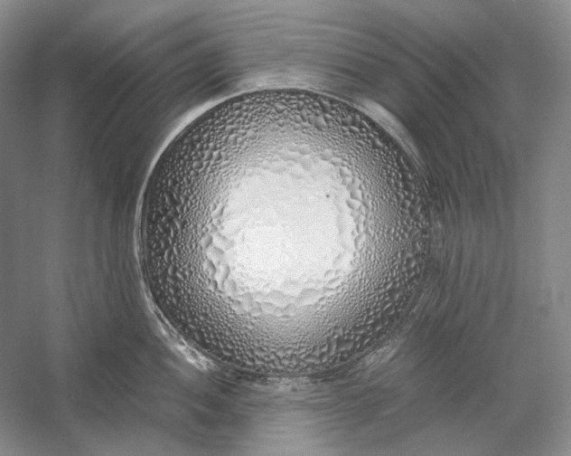 X0000060781052200512011633