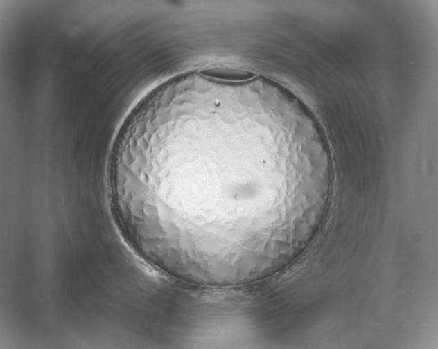X0000060781056200512011633