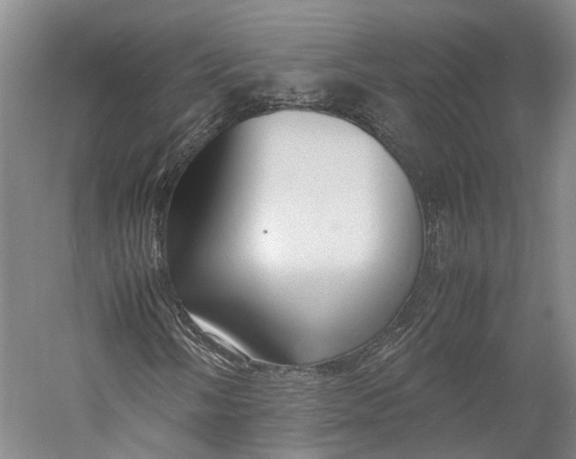 X0000060781058200512011633